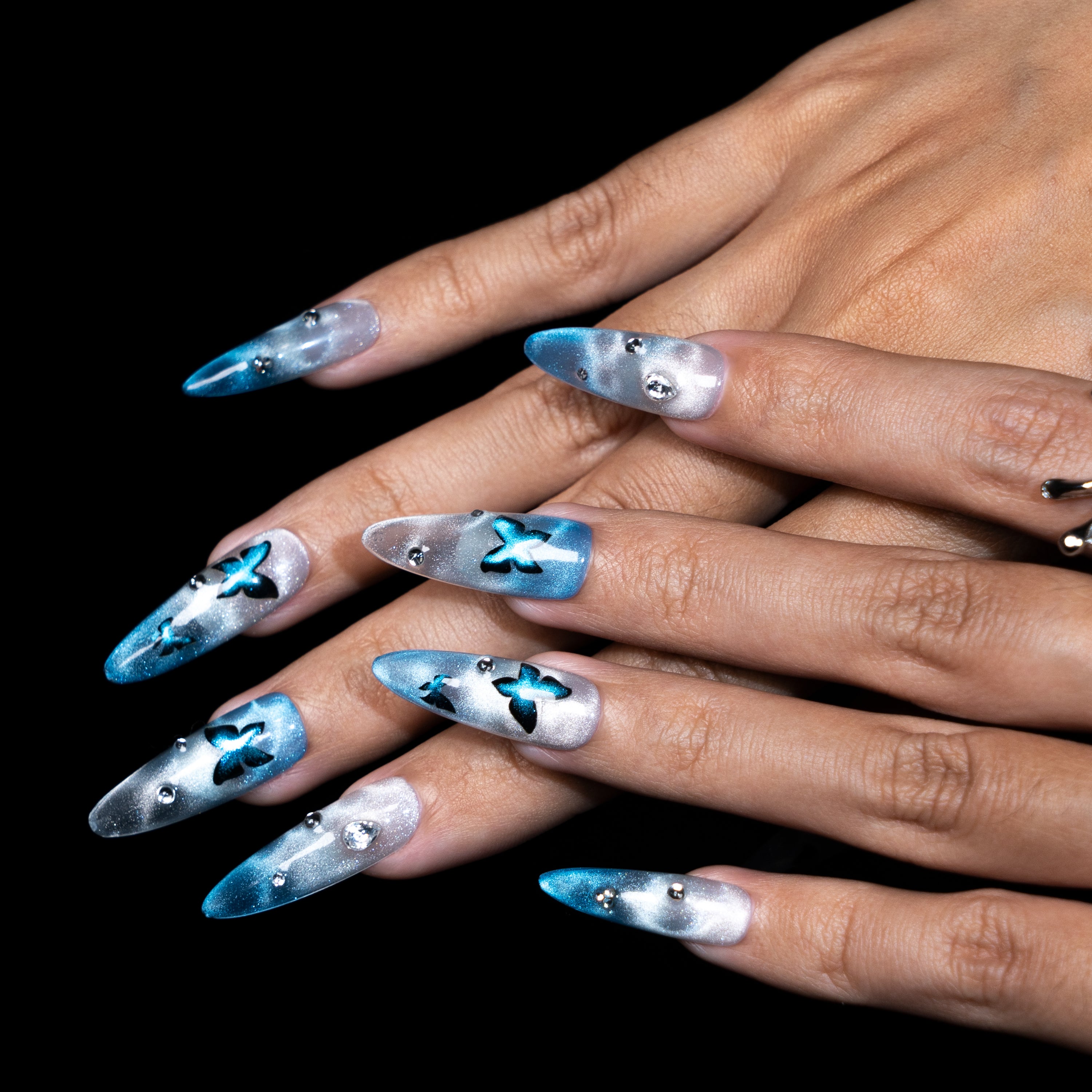 Reflets de Papillons sur le Lac