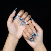 Reflets de Paillions sur le Lac